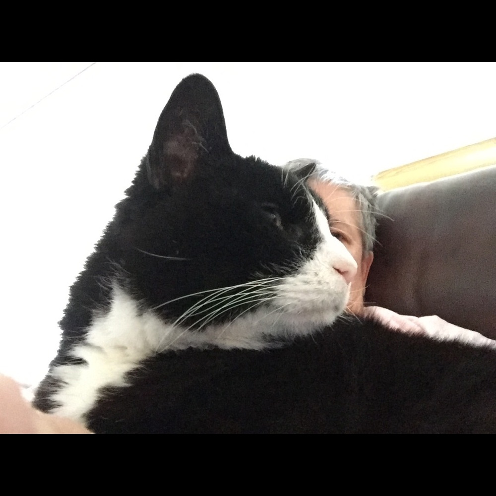 Meet your Posher, Bonnie